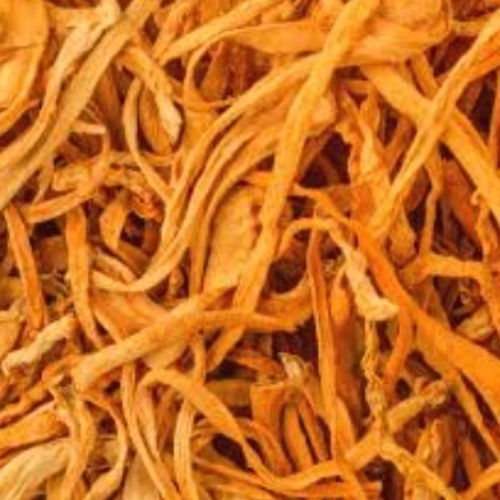 Cordyceps Sinensis
