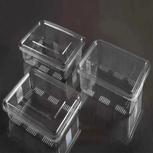 Plastic Hinged Disposable Food Containers