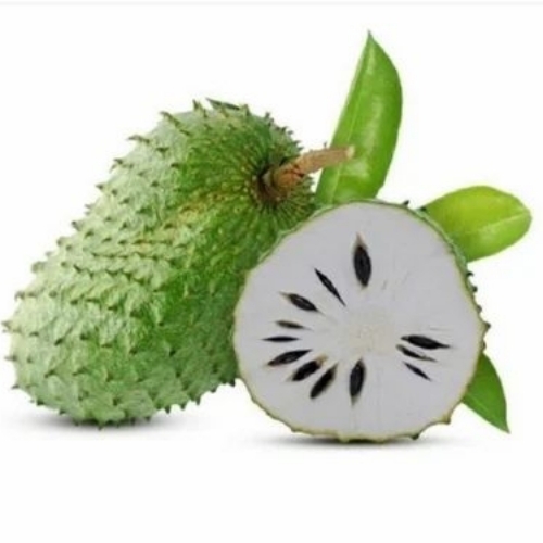 Soursop Laxman Fruit