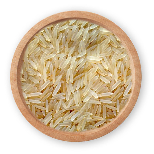 Basmati Rice 1509 Sella Golden - Cultivation Type: Common
