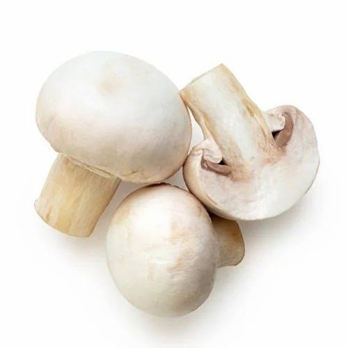 Button Mushroom
