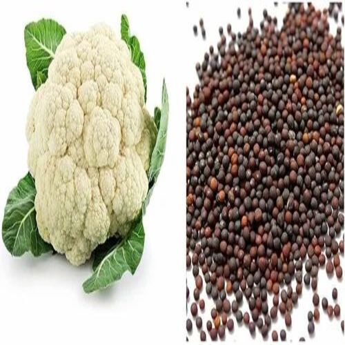 Cauliflower Vegetable Seeds