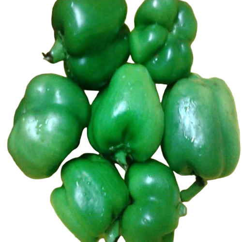 Fresh Capsicum