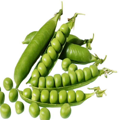 Fresh Peas