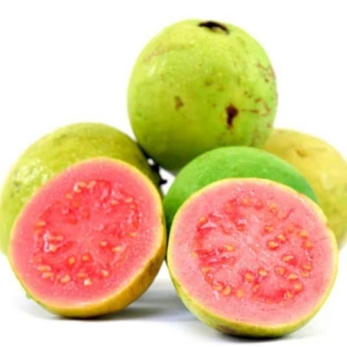 Guava Fruits