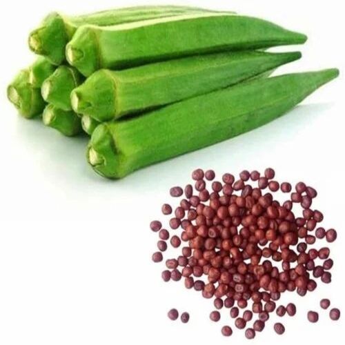 Hybrid Lady Finger Seeds