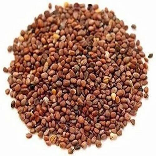 Hybrid Radish Seeds
