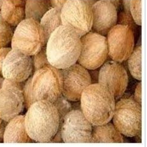 Organic Fresh Coconut