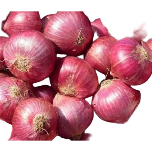 Organic Fresh Red Onion