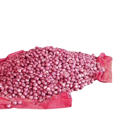 Organic Red Onion