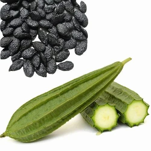 Ridge Gourd Seeds