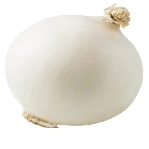 White Onion
