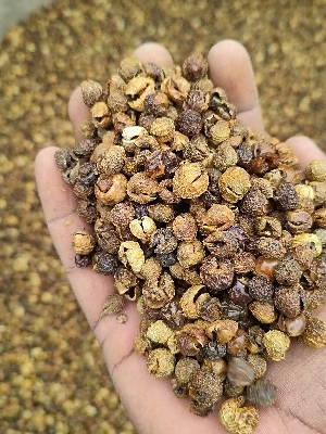 Dried Vegetables - Additives: Salt Curd Water
