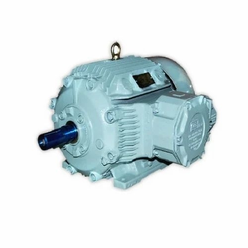 Flame Proof Electric Motor
