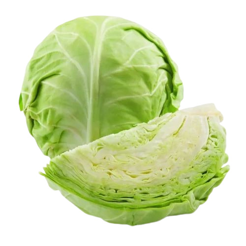 Fresh Cabbage