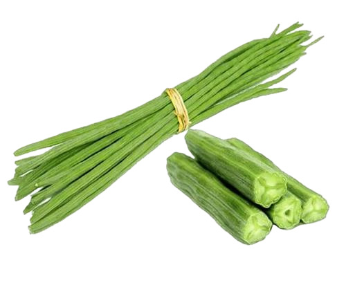 Fresh Green Drumstick