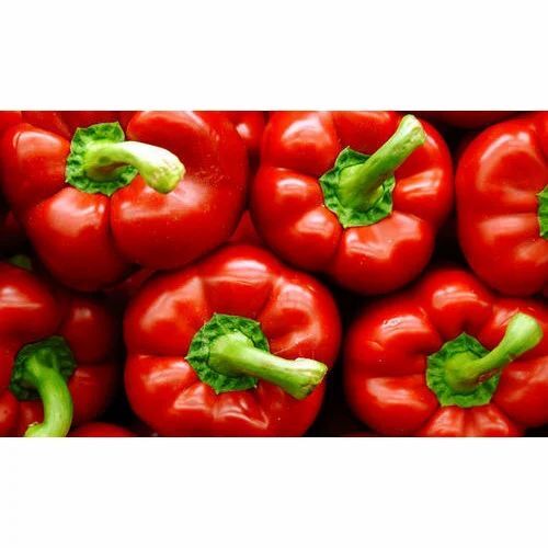 Fresh Red Capsicum