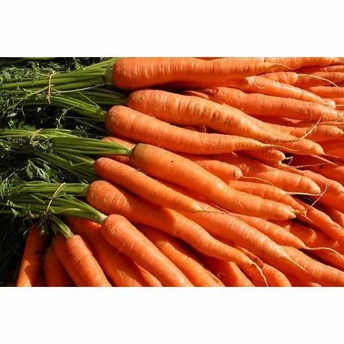 Fresh Red Carrots