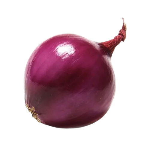 Fresh Red Onion By Yashwant Nagari Farmer Producer Company Limited