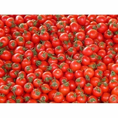 Fresh Tomato