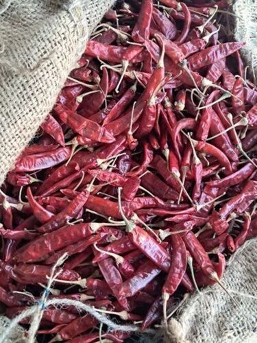 Guntur Dry Red Chilli