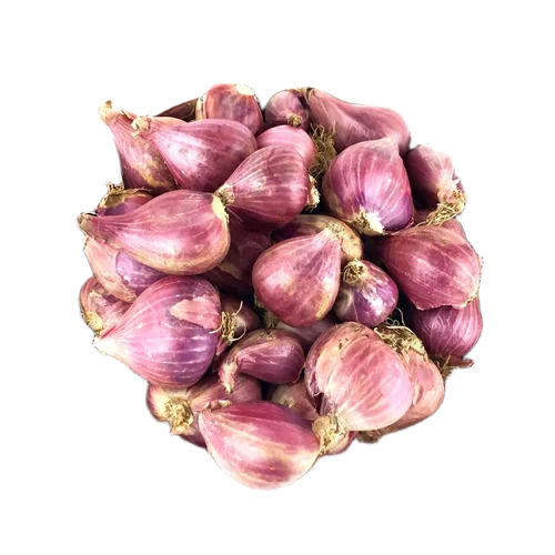 Natural Fresh Small Onion