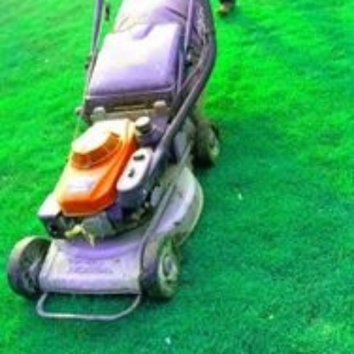 Natural Grass