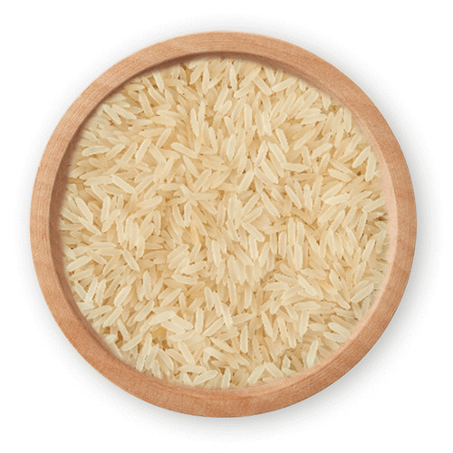 Rice Pr 11 Sella Cream