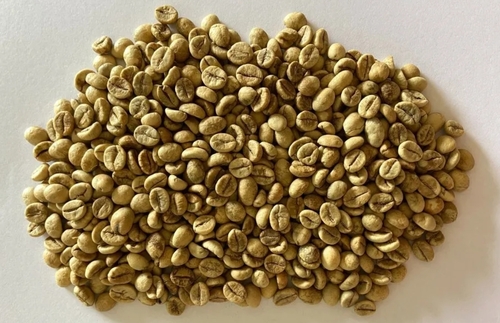Washed Robusta Aa Coffee Green Coffee Beans