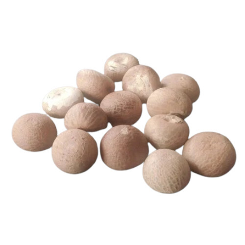 Areca Nut
