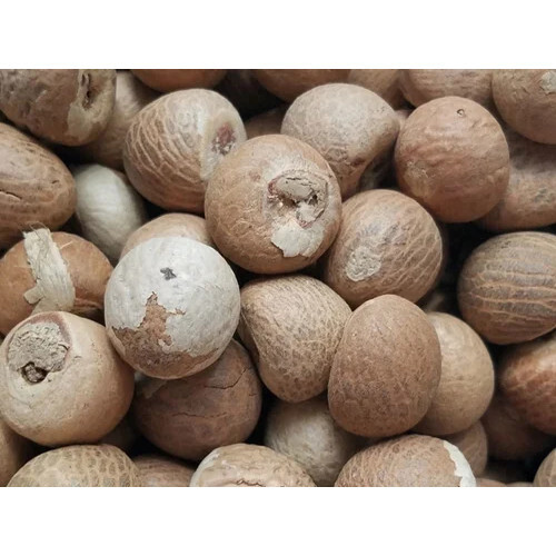 Betel Nut Supari - Color: Brown