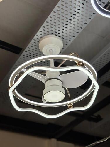 Modern LED Fan Chandelier