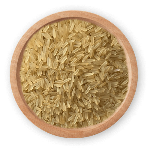 Rice Pr 11 Sella Golden