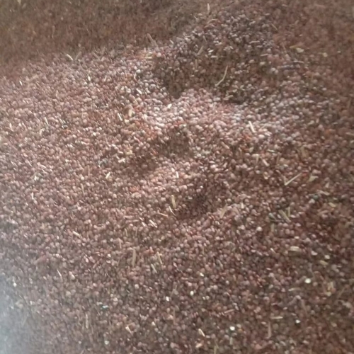 Roasted Lajwanti Seeds