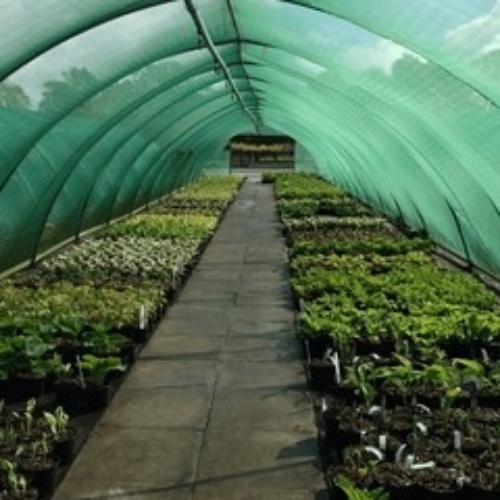 Shade Net By Daman Polymers (India) Pvt. Ltd.