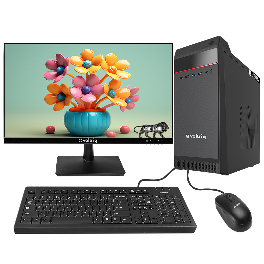 Voltriq Consumer Series 24 Inch Monitor Desktop Computer