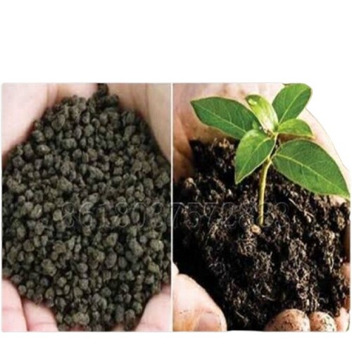 Bio Fertilizer