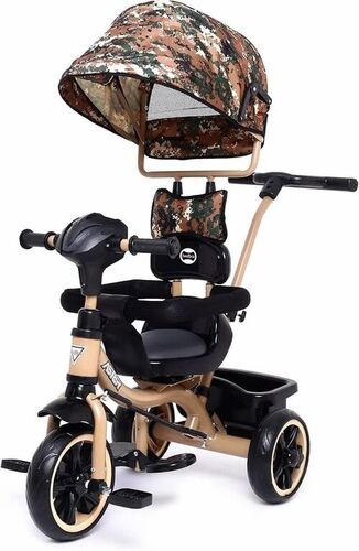 Musical Tricycle With Hood