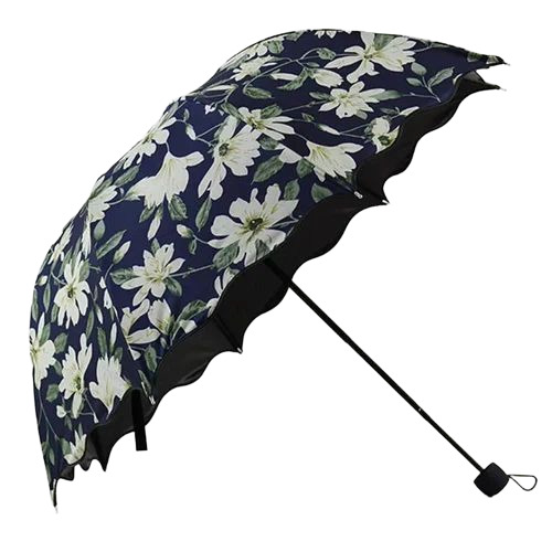 Printed Umbrella