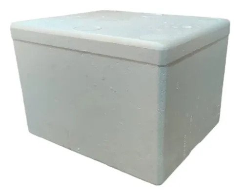 Thermocol Box