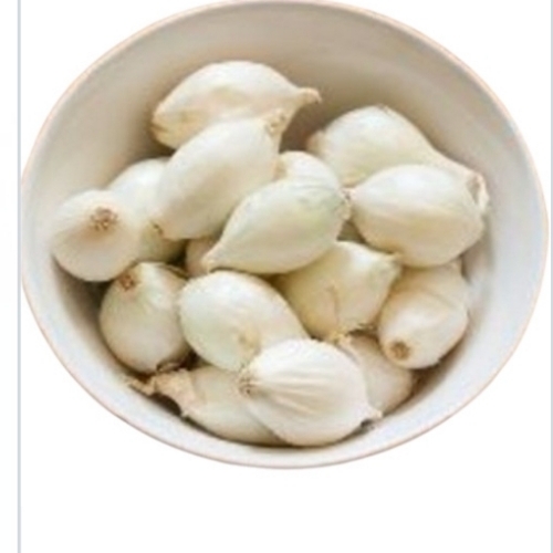 Good Quality White Shallot Onion