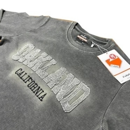 Grey Color T Shirt