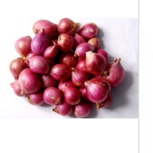 Red Shallot Onion