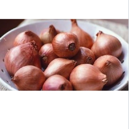 Small Shallot Onion