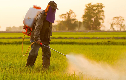 Chemical Pesticides - Application: Agriculture
