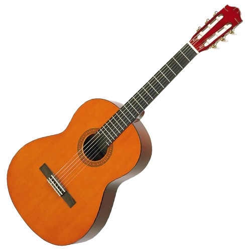 Wooden Body Synthetic Fingerboard Guitar