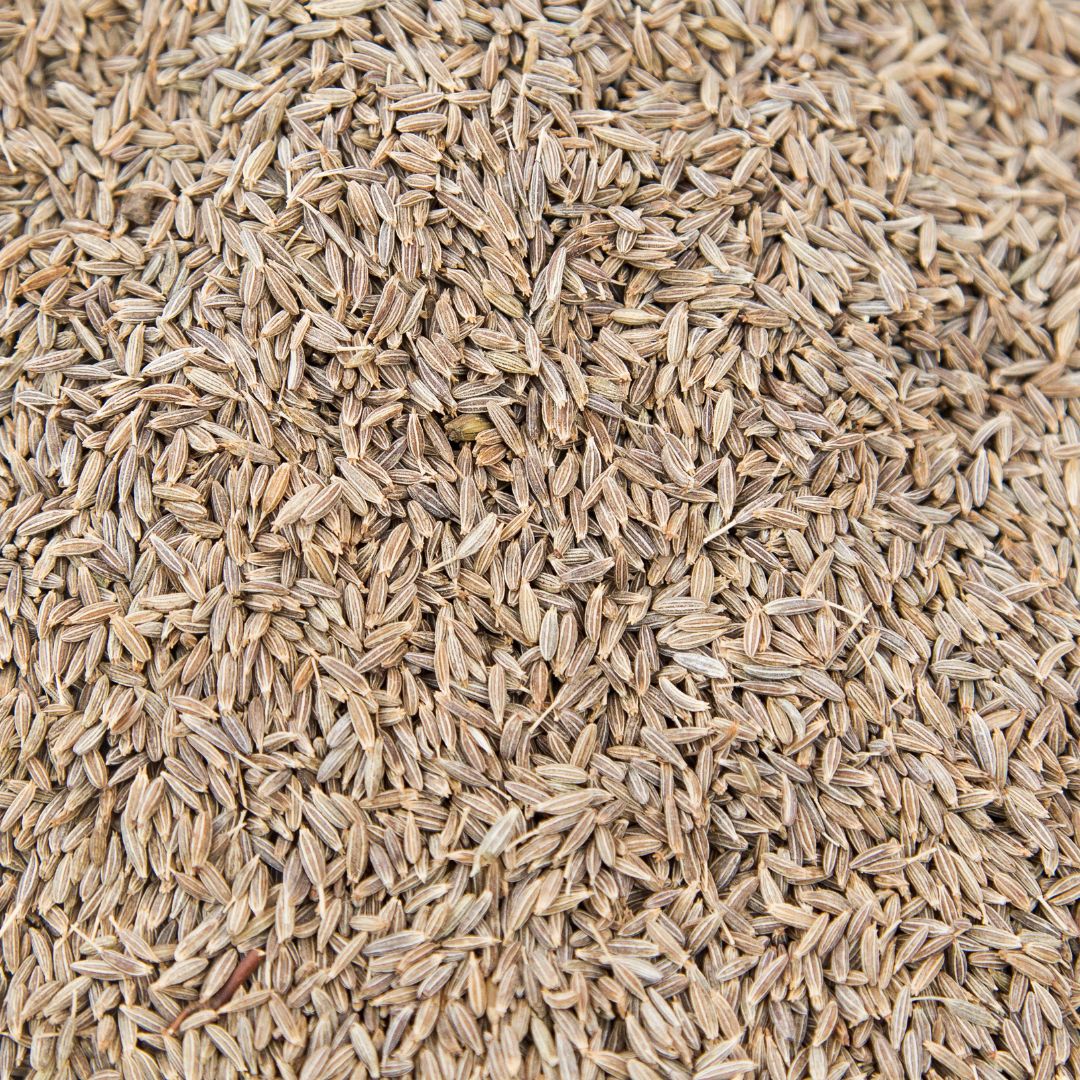 Cumin Seeds Jeera