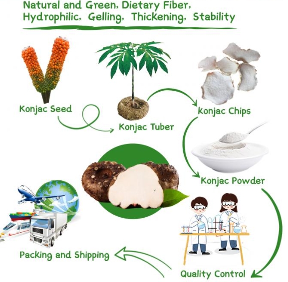 Konjac Gum