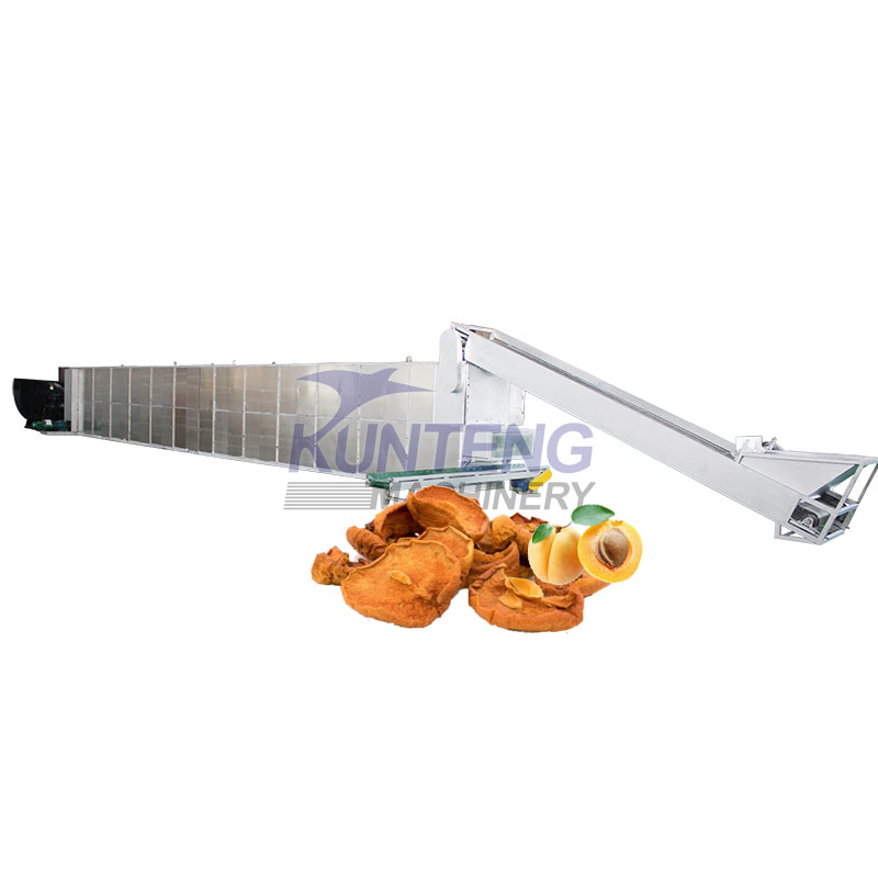 24 Hours Continuous Working Industrial Food Vegetable Fruit Dehydrator - Automation Grade: High