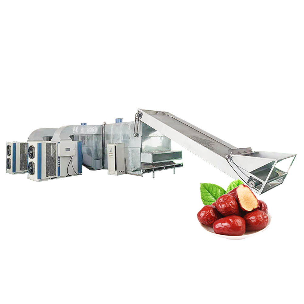 Large 24 Hours Continuous Dehydrator Vegetable Fruit Dryer Machine - Automation Grade: High